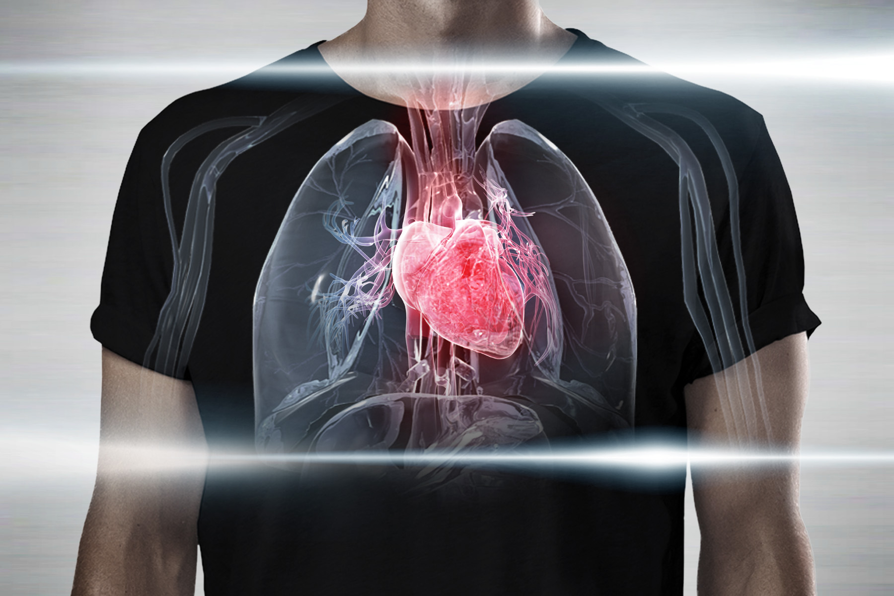 The Heart