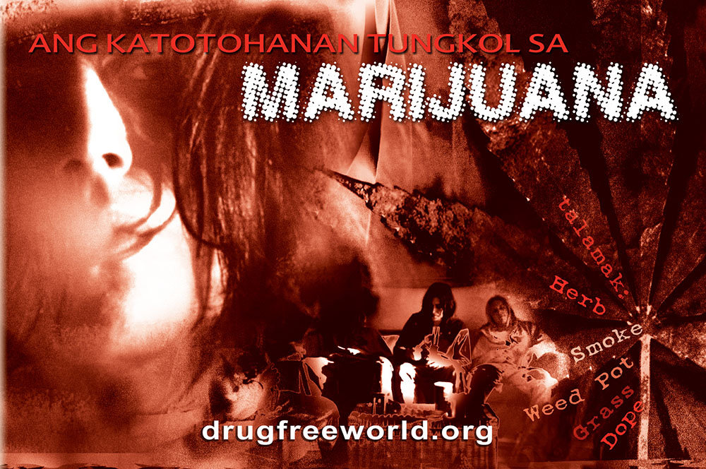 Batas Tungkol Sa Droga Hot Bubble