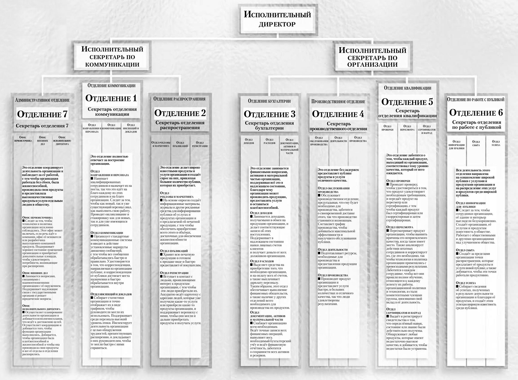 Организующая схема компании высоцкий