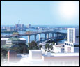 Downtown Clearwater's Renaissance