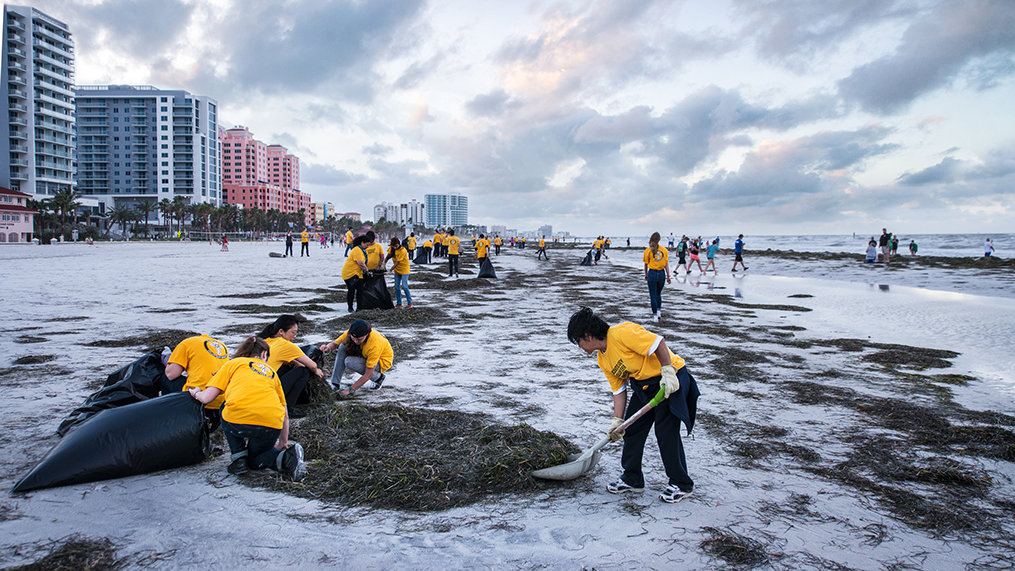 Volunteer Ministers walking into the beach