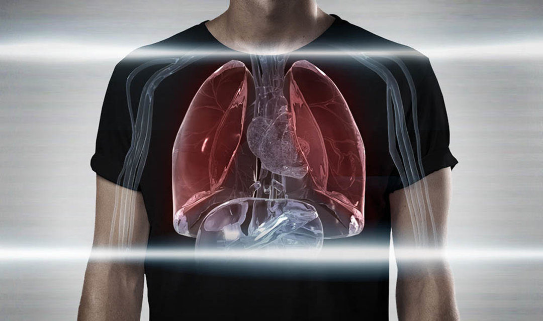 Lungs