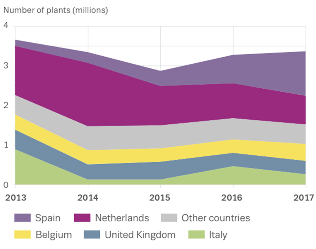 EU Member States that reported seizing the most cannabis plants, Spain being the lead - 2013-2017