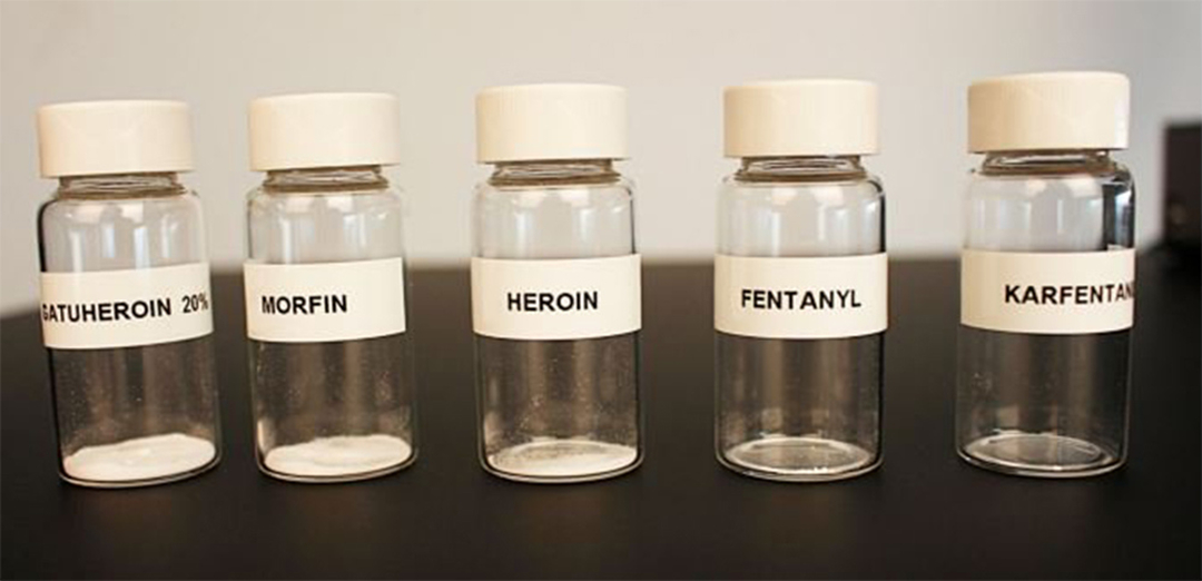 Gatuheroin, morfin, geroin, fentanyl and karfentanyl