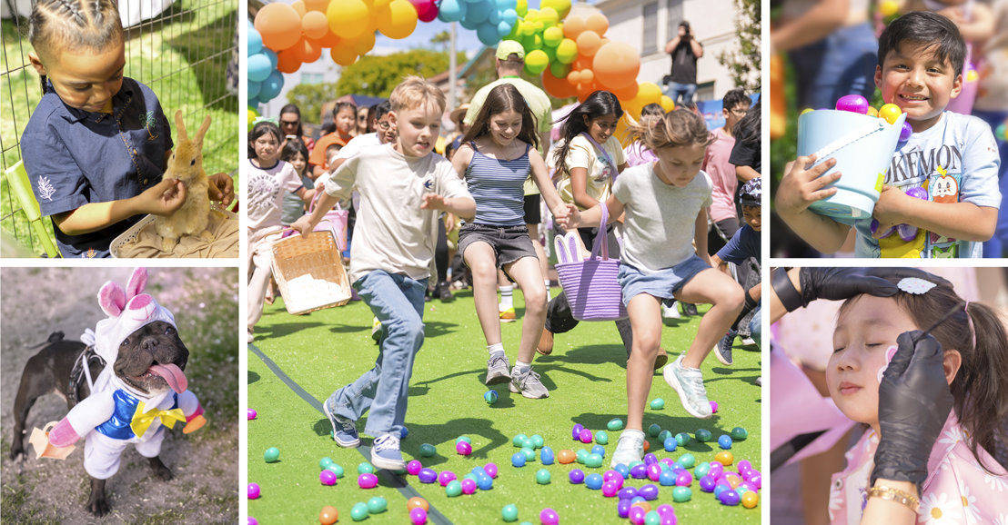 Easter hunt overview of activities