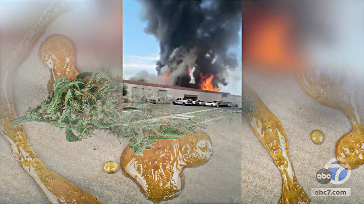Honey Oil: The Explosive Cannabis Craze That’s Killing Workers