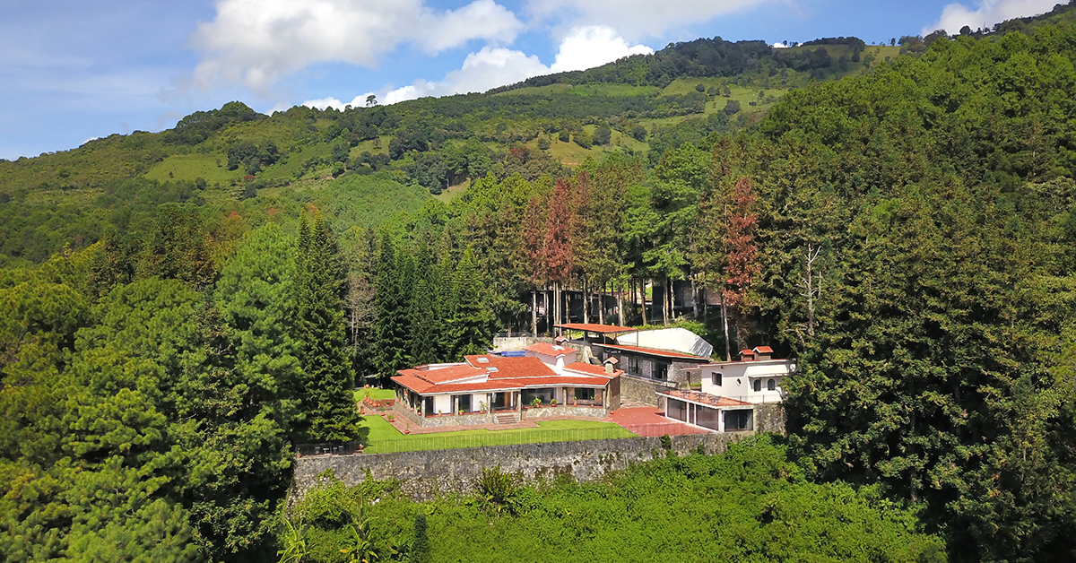 Center foto