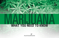 Marijuana booklet cover