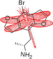 Bromo-dragonfly structure - molecular