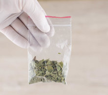 Drug leaves