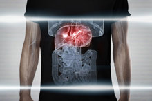 Liver