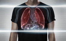 Lungs
