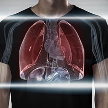 Lungs