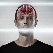Brain