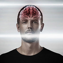 The brain
