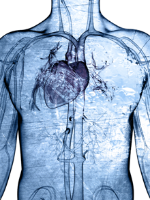 Heart damage - cocaine