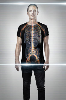 Nervous system