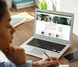 Narconon search on the internet