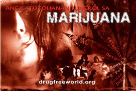 Ang Katotohanan Tungkol sa Marijuana