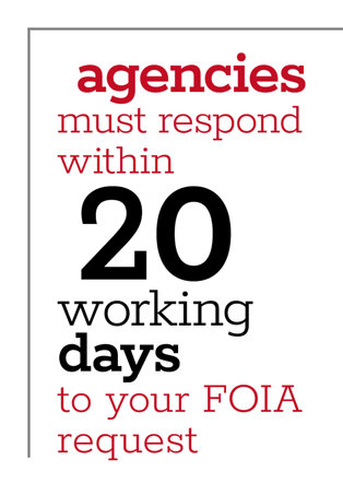 Agencies must respond within 20 working days to your FOIA request