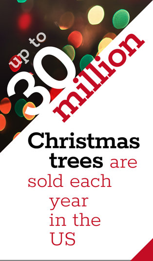 Up to 30 million Christmas trees are sold each year in the US.