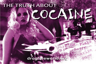 The Truth About Cocaine