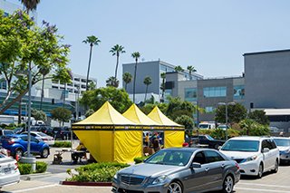 cars lining up at the food drive