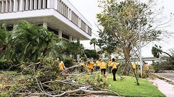 Clearing Up Downtown