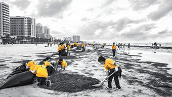 When Disaster Strikes