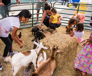 Clearwater block party