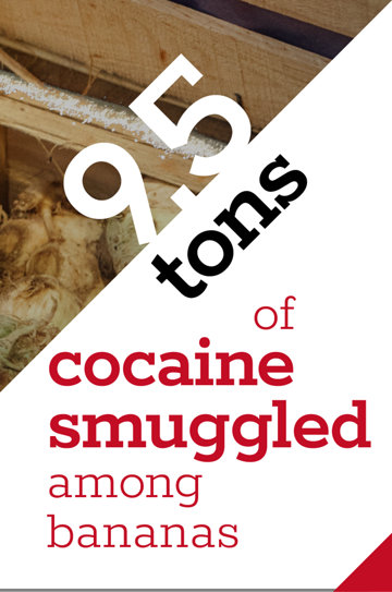 9.5 tons of cocaine smuggled among bananas