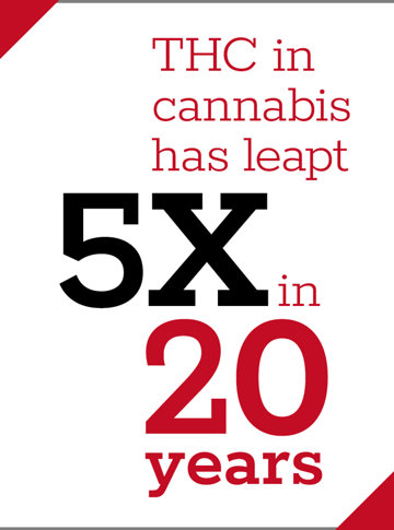 THC in cannabis has leapt 5X in 20 years.