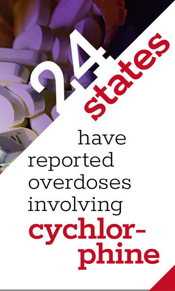 24 states have reported overdoses involving cychlorphine. 