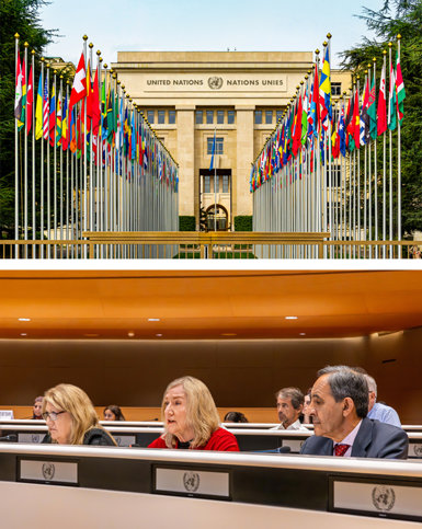 CCHR International Executive Director and President testify at the United Nations.