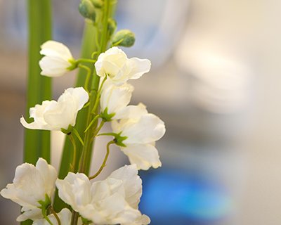 Flowers at the reception of Tokyo Ideal Org