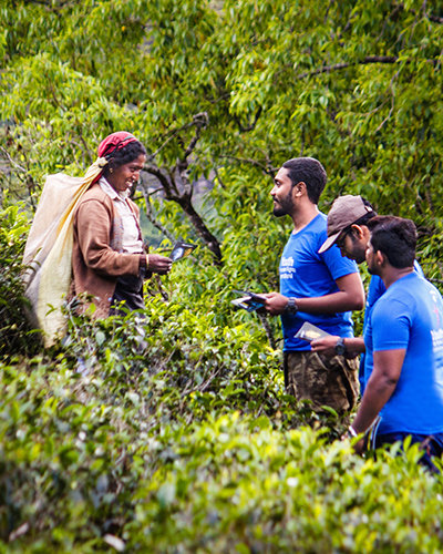 ЧАЙ И ГУМАННОСТЬ