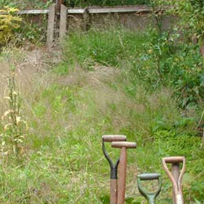 Weeds—A Parable