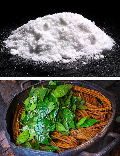 Dmtに関する全真実 Dmtに関する全真実