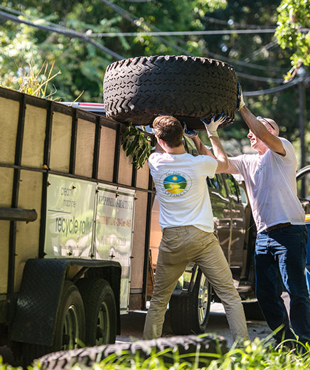 Greenwood cleanup