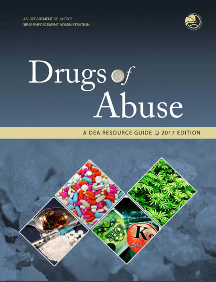 DEA Guide Offers Insight for Parents on Drug Abuse Trends