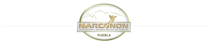 Narconon Puebla Logo