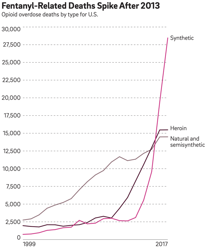 An Update on the Lethal Synthetic Opioid Fentanyl