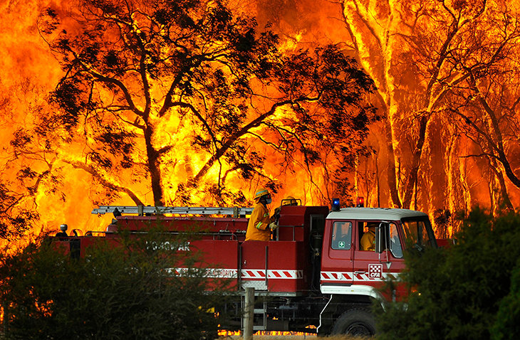 Australian bush fires