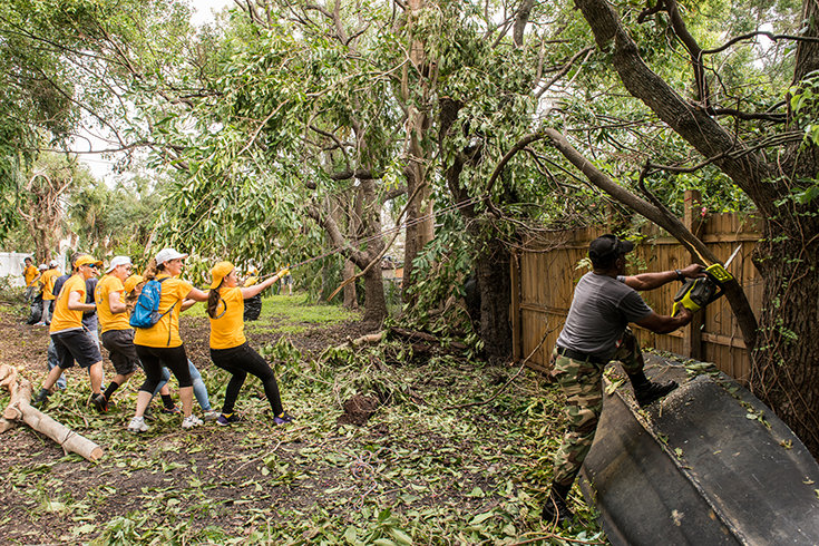 Volunteer Ministers handle damaged trees
