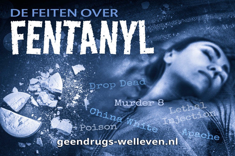 Fentanyl is een van de dodelijkste drugs ter wereld – goedkoop, krachtig en vaak verborgen in pillen, poeders en vapes. Een nieuw Drug-Free World-boekje, mogelijk gemaakt door steun van de IAS, voorziet gemeenschappen van feiten om overdoses te voorkomen en levens te redden.