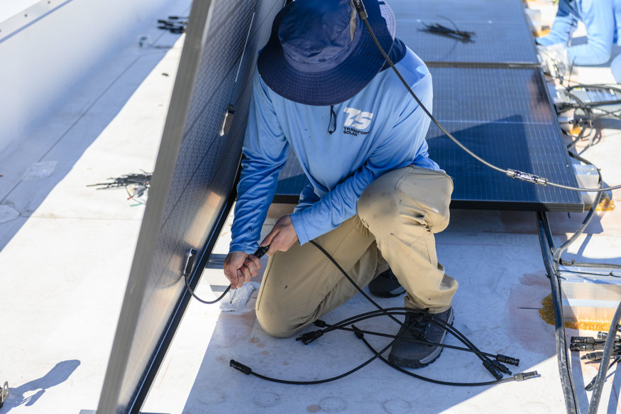 Solar panels are connected together as installation progresses. 