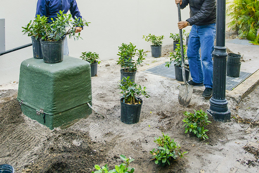 Plants are being added to bring life and greenery to the alley.