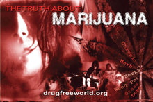 The Truth About marijuana Drugs