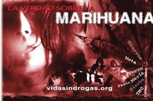 The Truth About marijuana Drugs
