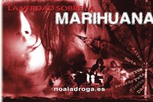 The Truth About marijuana Drugs